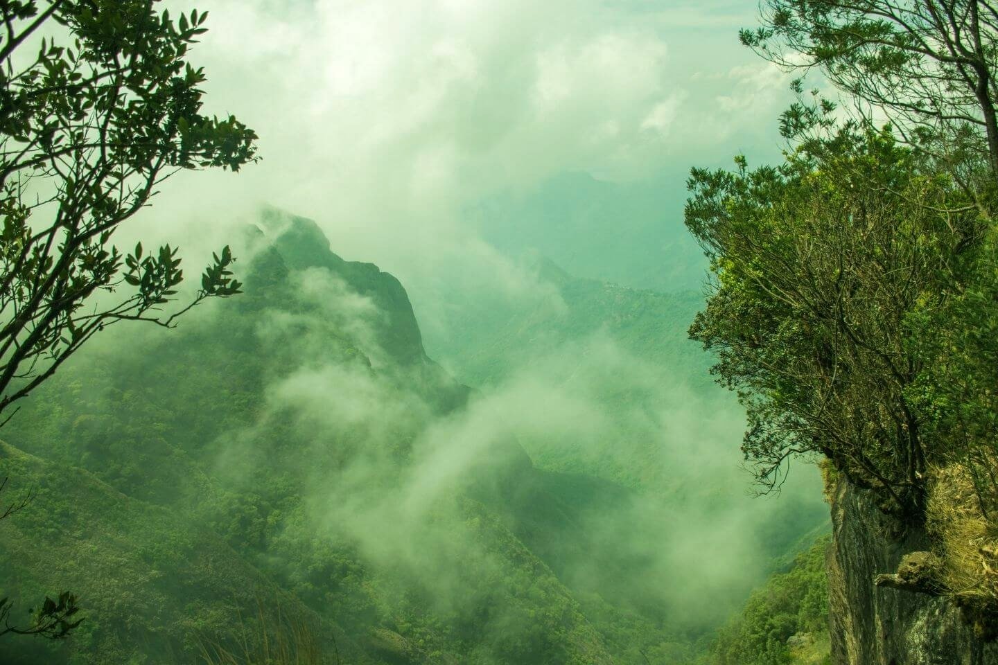 Best places to visit in Kodaikanal for nature lovers