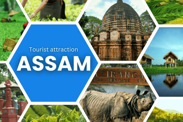 Thinking Traveling to Assam? These Are 6 Amazing Locations to Visit