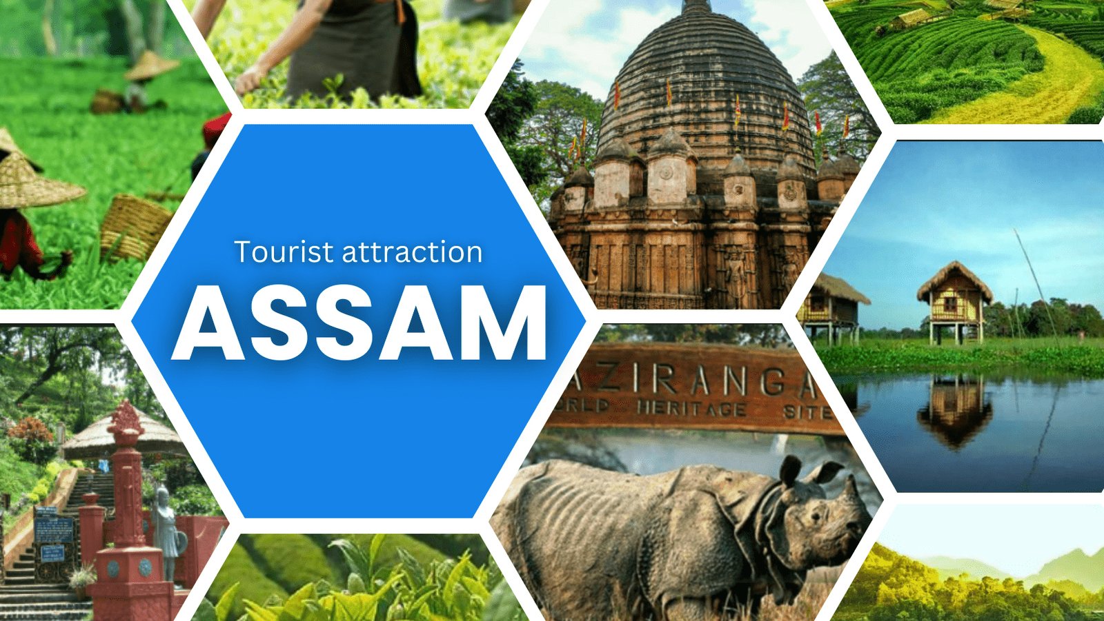 Thinking Traveling to Assam? These Are 6 Amazing Locations to Visit