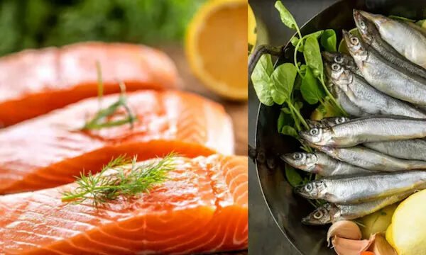 7 Fish That Can Help You Lose Weight