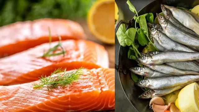 7 Fish That Can Help You Lose Weight